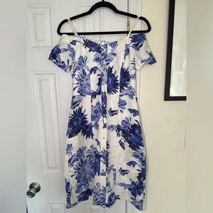 White and blue garden dress